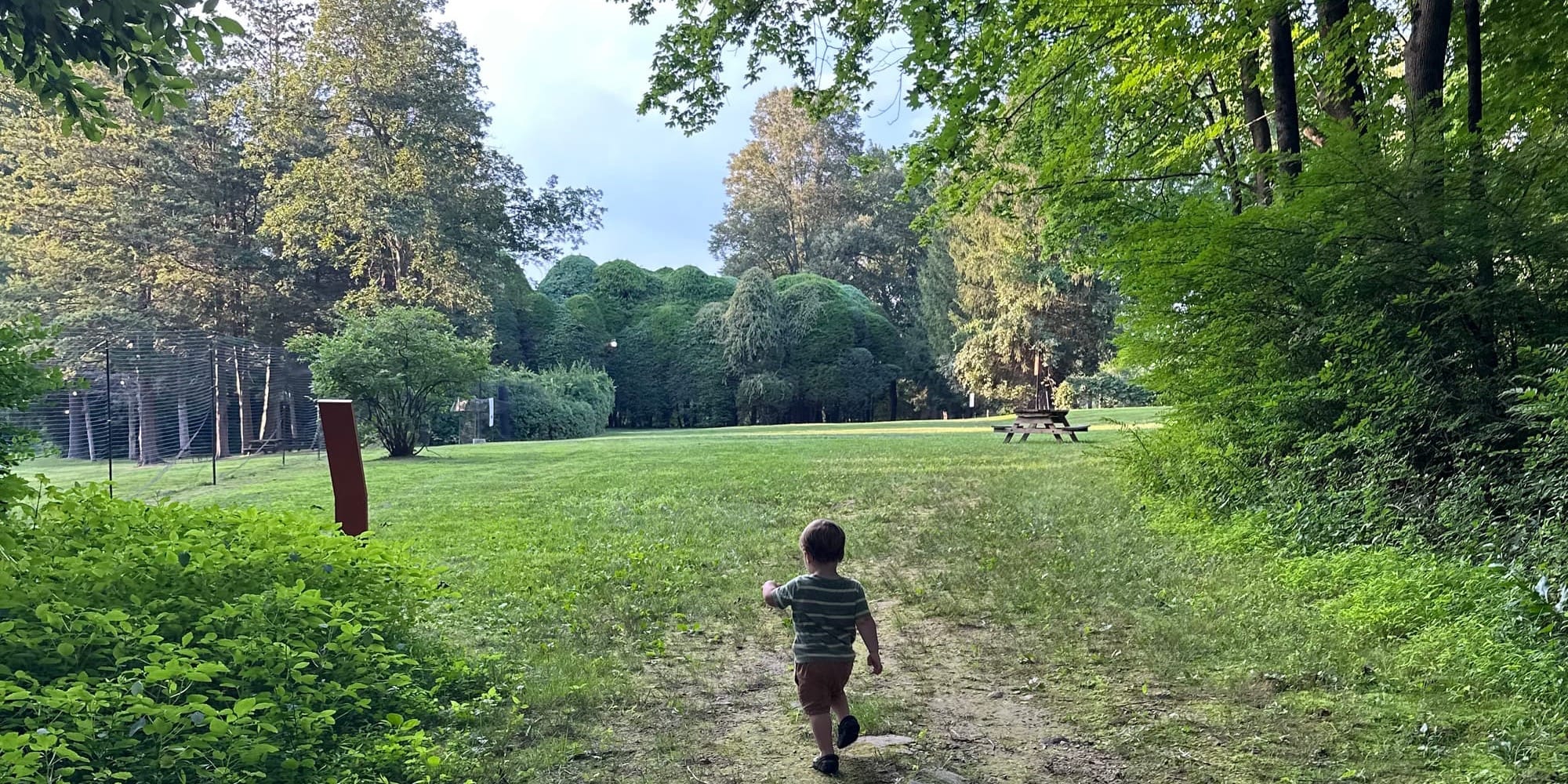 ✍️ July 2025: Better Late Than Never?