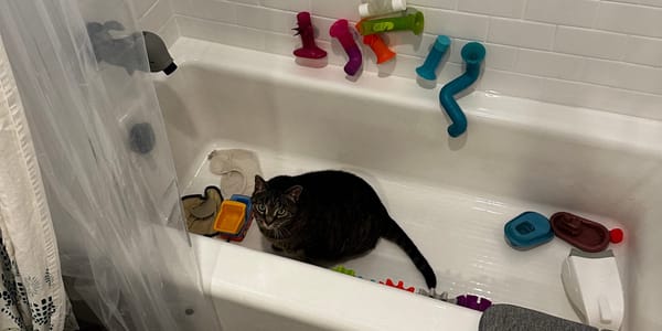 ✍️ February 2025: The Flu is Rough