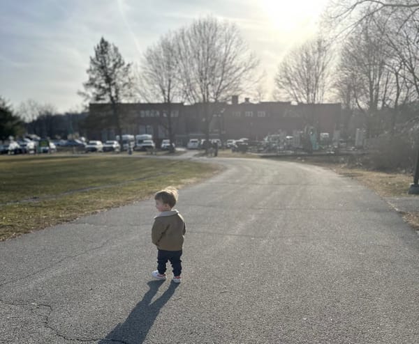 ✍️ March 2025: in like a lion...