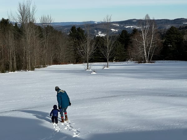 ✍️ 2025 in Review